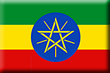 埃塞俄比亚签证评估