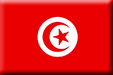 突尼斯签证评估