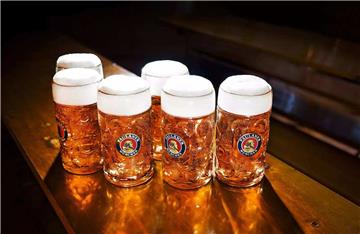 德国慕尼黑啤酒节即将开幕！你的出国签证办好了吗？