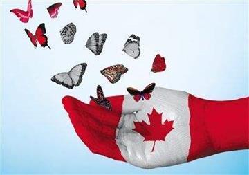 出国留学生利好消息，加拿大未来80年狂收移民!