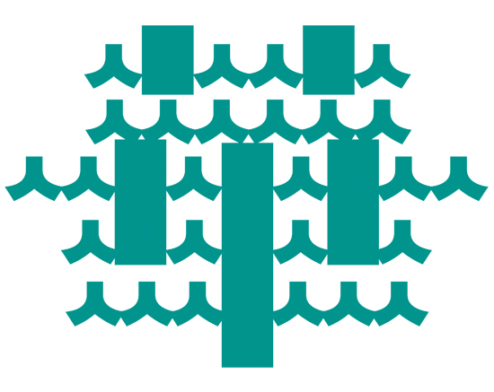 廣東華人出國事務有限公司LOGO