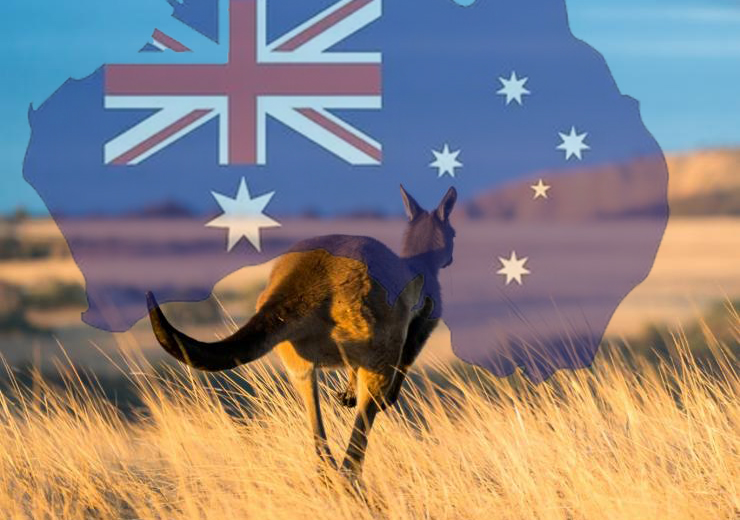 澳大利亚袋鼠.jpg